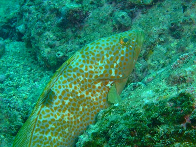 b0062010_15232885.jpg