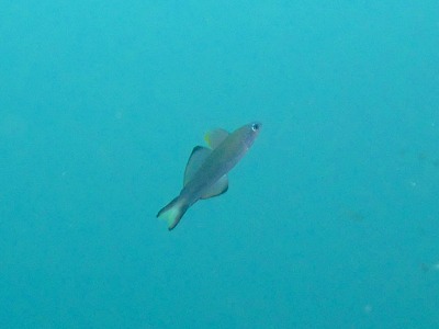 b0062010_15242572.jpg