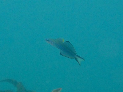b0062010_15243382.jpg