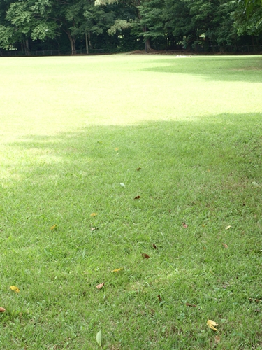 a0153515_2122535.jpg