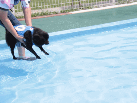 b0207615_239888.gif