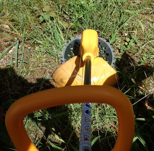 f0100920_13362177.jpg