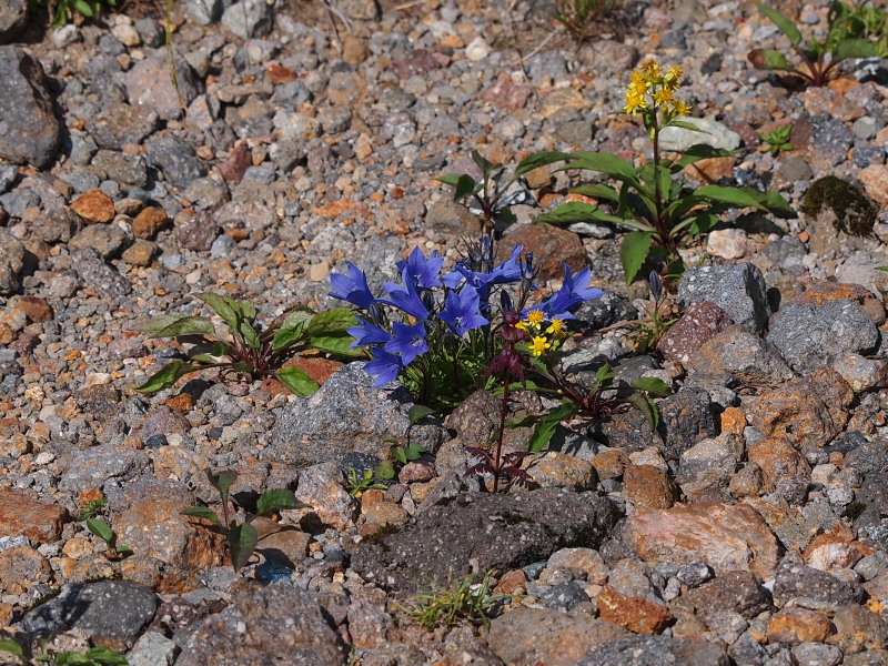 c0085622_22182921.jpg