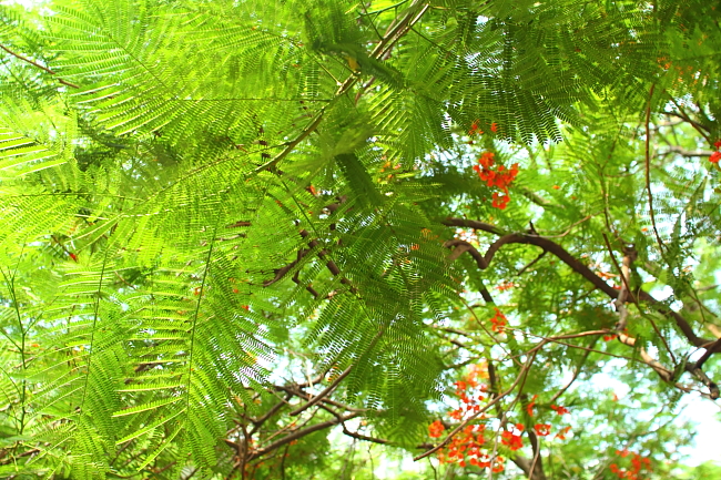 e0256224_10344960.jpg