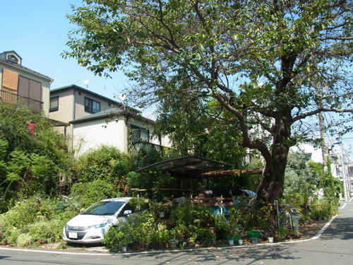 f0108825_1621784.jpg