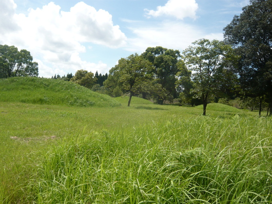 a0206332_729203.jpg