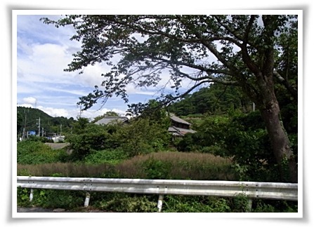 d0017632_9584444.jpg