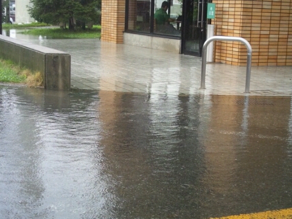 e0188236_1611990.jpg