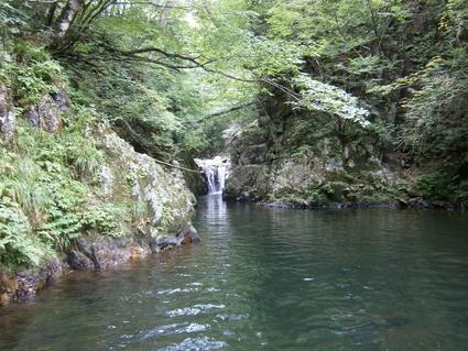 b0077448_14483411.jpg