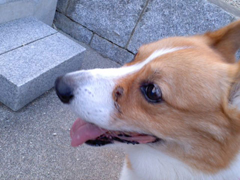 a0150850_2056197.jpg
