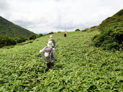 c0179351_20341825.jpg