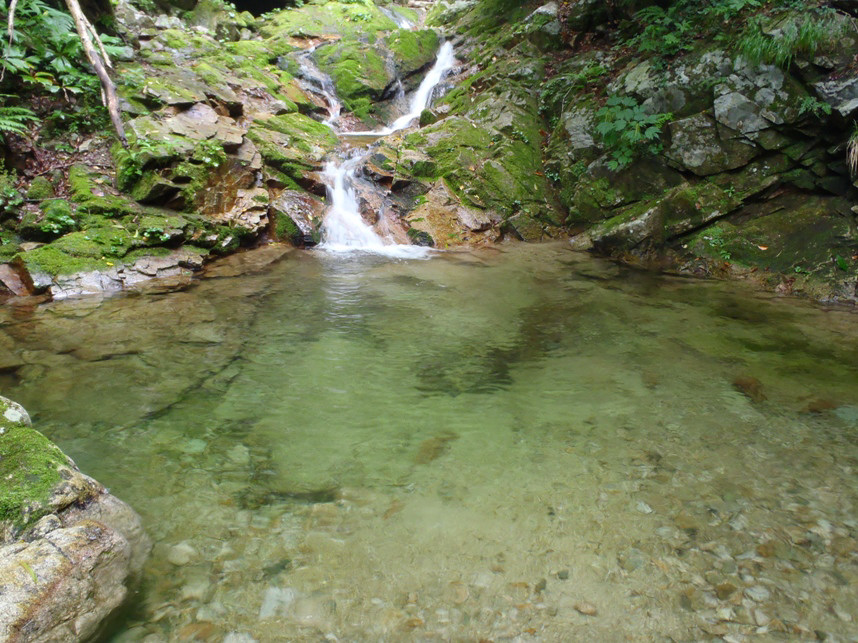 d0169556_17503047.jpg