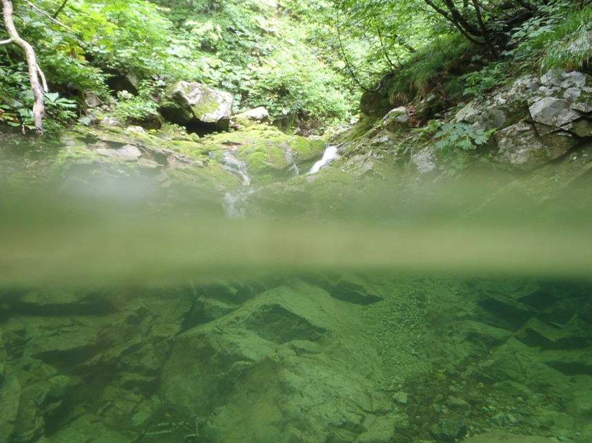 d0169556_17523111.jpg