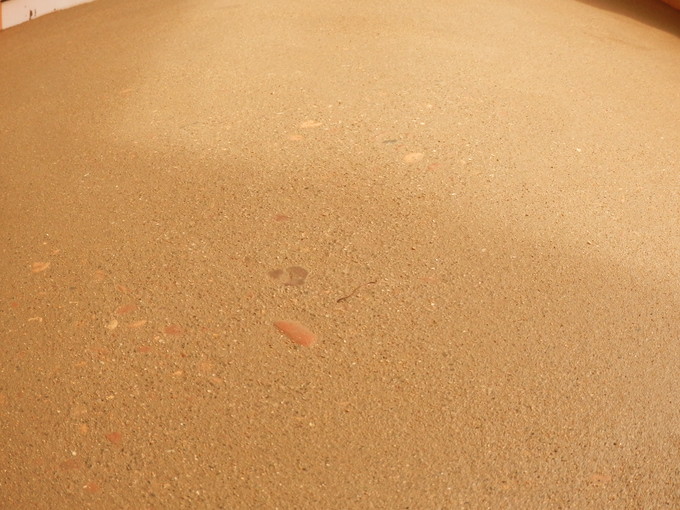 b0164959_1054582.jpg