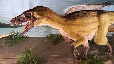 b0158061_23473798.jpg
