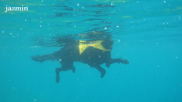 c0134862_16151523.jpg
