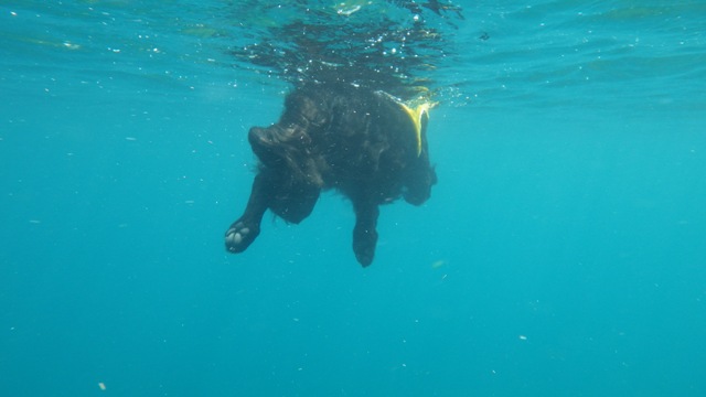 c0134862_16152225.jpg