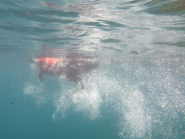 c0134862_16154874.jpg