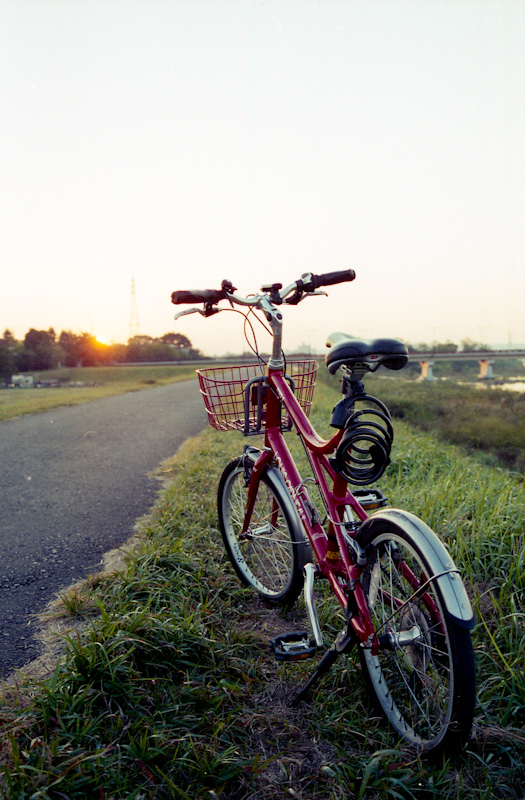 c0084666_23592464.jpg