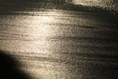 a0157069_14144414.jpg