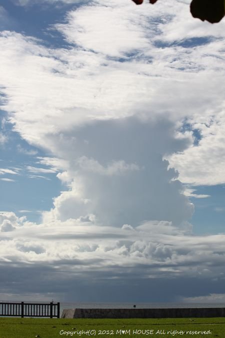 c0139375_1315946.jpg