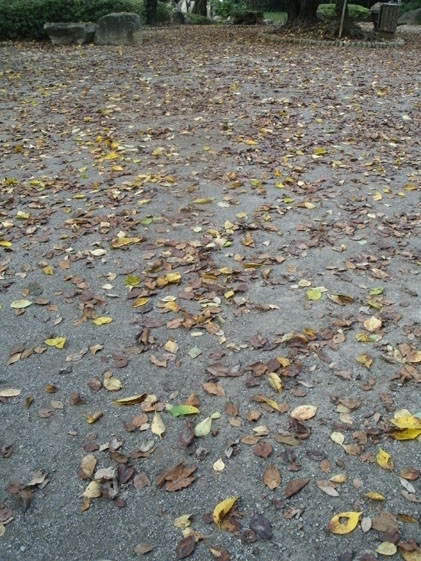 e0112077_5413010.jpg