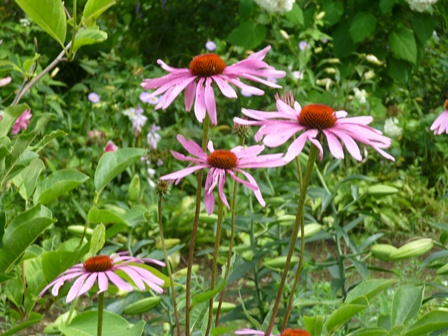 a0053480_82056100.jpg