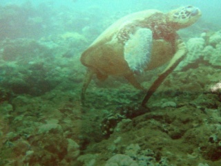 c0096582_22275930.jpg