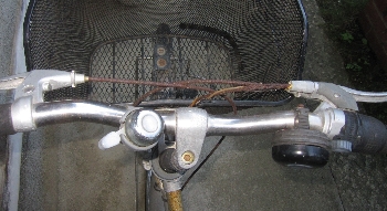 f0003283_1820419.jpg