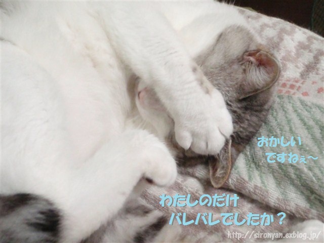 a0159490_1585621.jpg