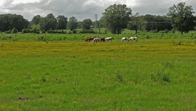 d0145790_2111956.jpg