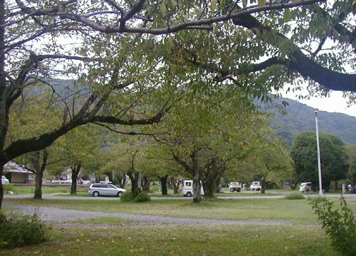 d0053294_23491598.jpg