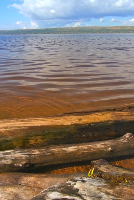 e0250594_17445397.jpg