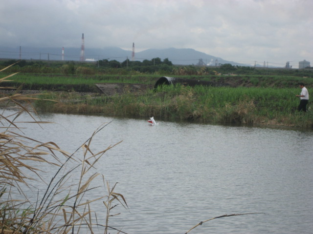 c0131695_23273794.jpg