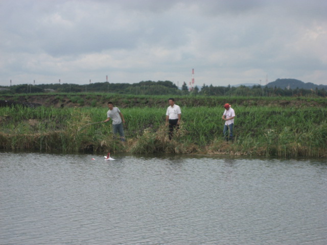 c0131695_23355650.jpg