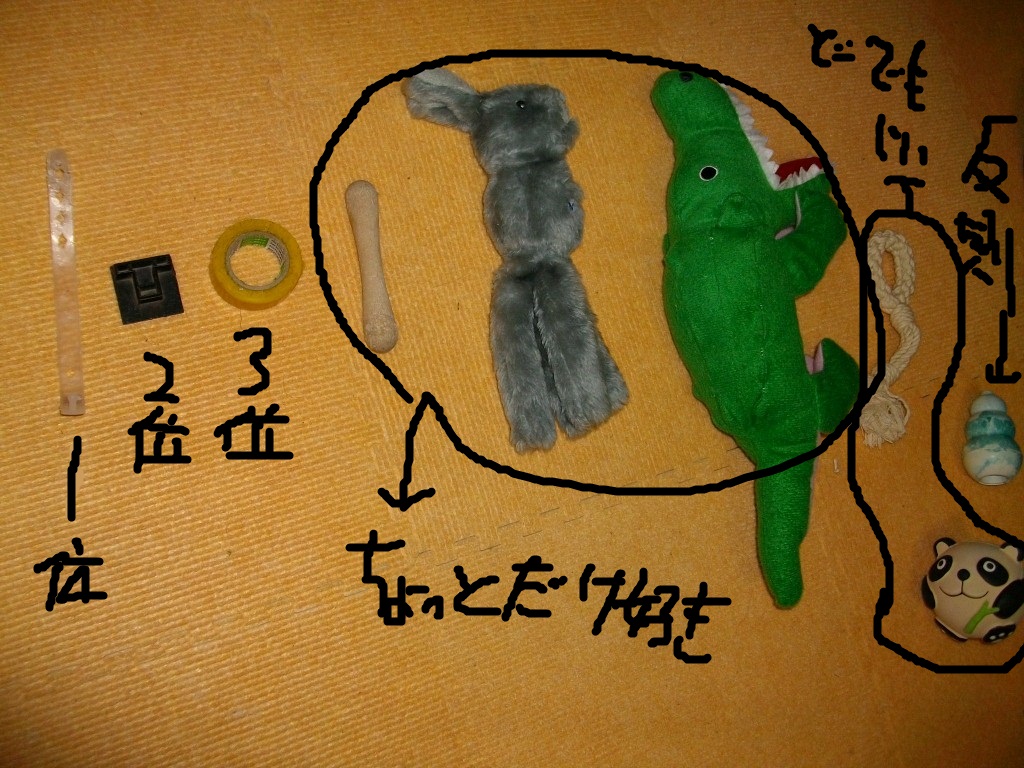 a0284997_20203050.jpg