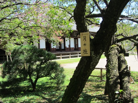 e0033301_21423598.jpg