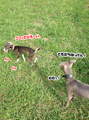 e0290901_151233.png