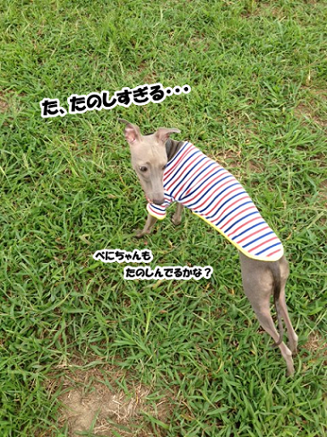 e0290901_1518266.png
