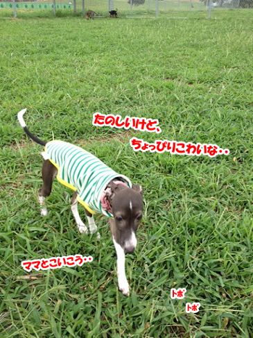 e0290901_15185972.png