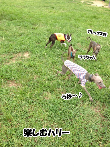 e0290901_1533153.png