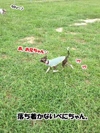 e0290901_1593765.png