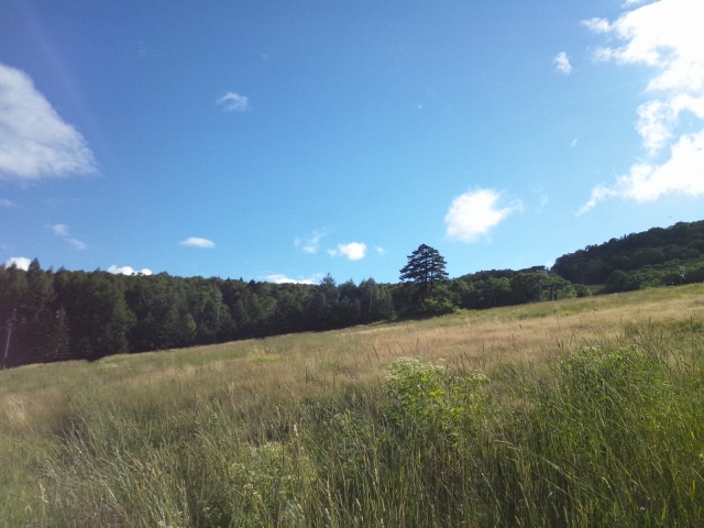 d0260803_17104284.jpg