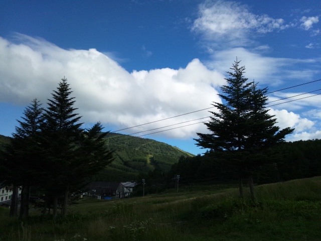 d0260803_1795539.jpg