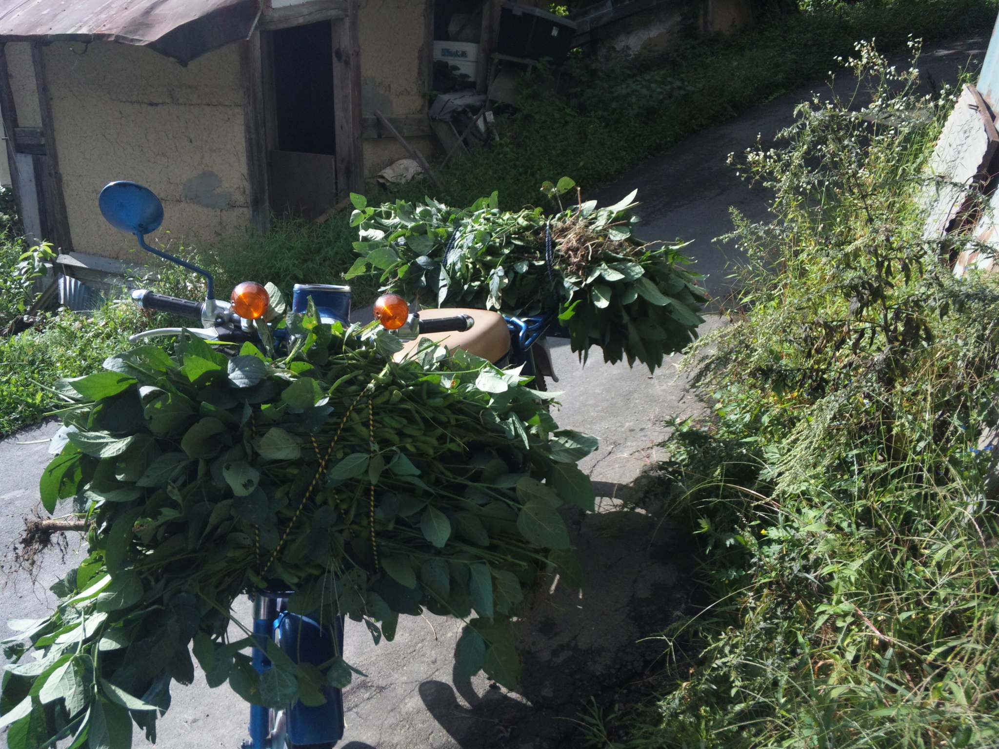 c0126205_8474272.jpg