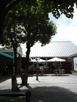 c0146714_1149767.jpg