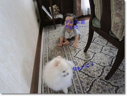 b0167519_050549.gif