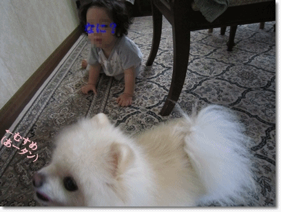 b0167519_061220.gif
