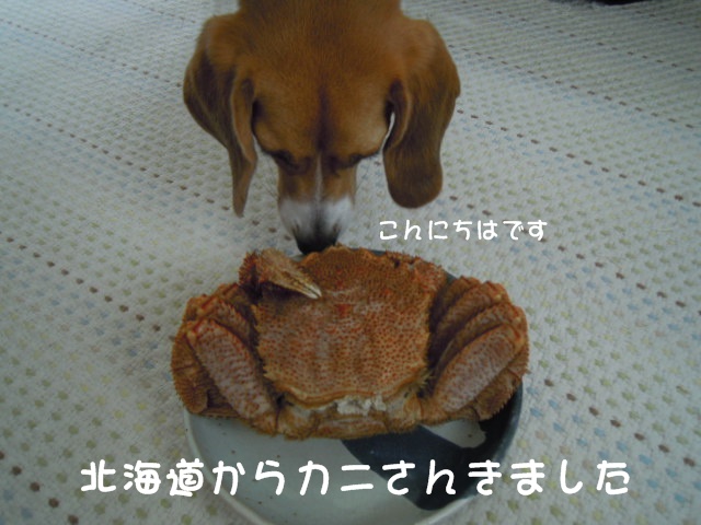 c0166622_12281811.jpg