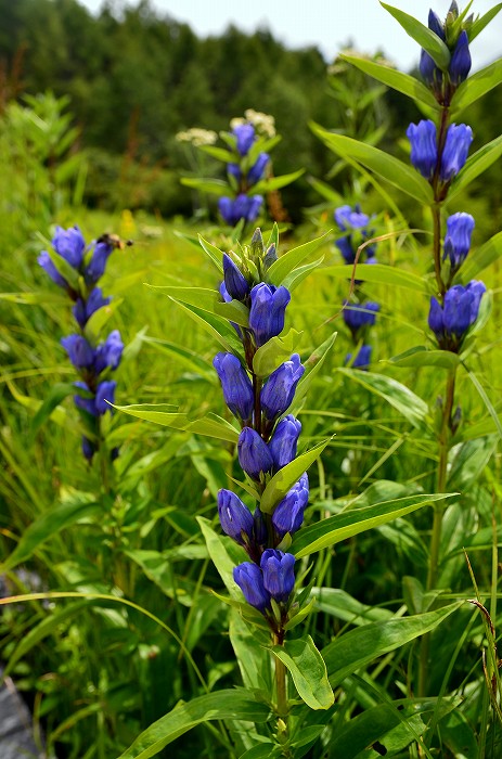 b0236334_21101027.jpg